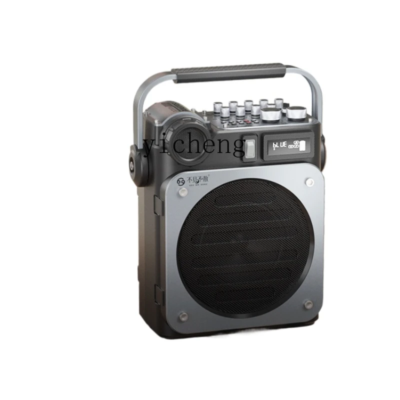 مكبر صوت صغير عالي الطاقة D6 ل - مراجعة Speakers وسعره
